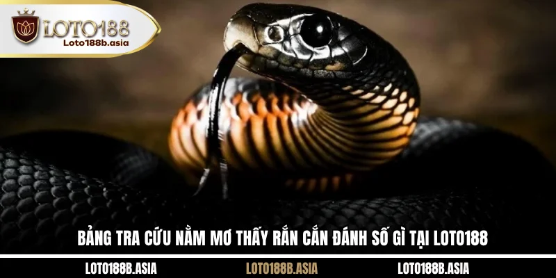 Bảng tra cứu nằm mơ thấy rắn cắn đánh số gì tại LOTO188