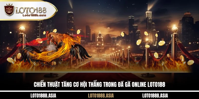 Chiến thuật tăng cơ hội thắng trong đá gà online LOTO188
