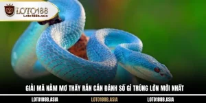 Giải Mã Nằm Mơ Thấy Rắn Cắn Đánh Số Gì Trúng Lớn Mới Nhất