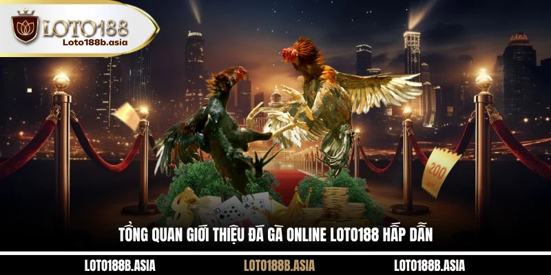 Tổng quan giới thiệu đá gà online LOTO188 hấp dẫn