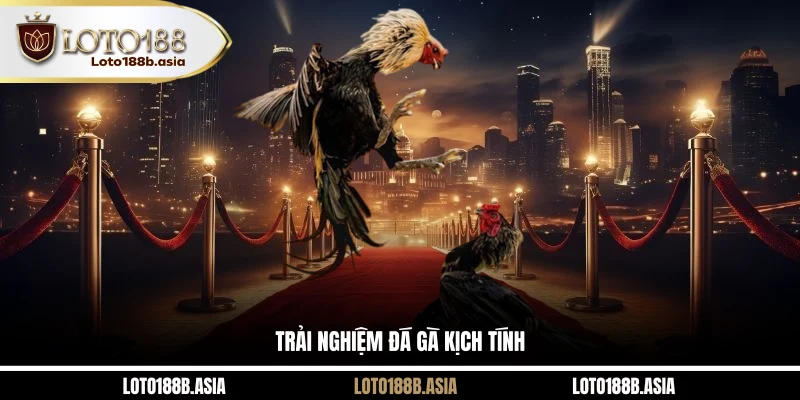 Trải nghiệm đá gà kịch tính